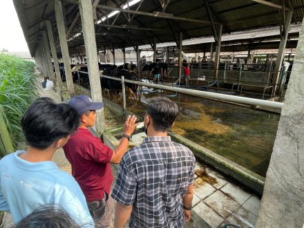 Pelatihan untuk Pelatih Praktik Peternakan Sapi Perah yang Baik bagi Koperasi Rukun Santoso di Jawa Timur